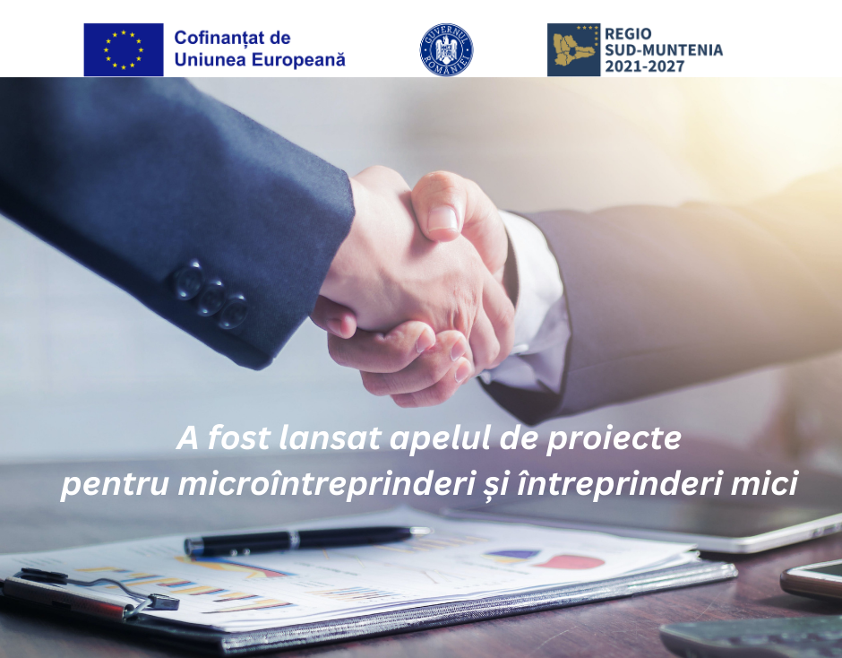 A fost lansat apelul de proiecte destinat microîntreprinderilor și întreprinderilor mici